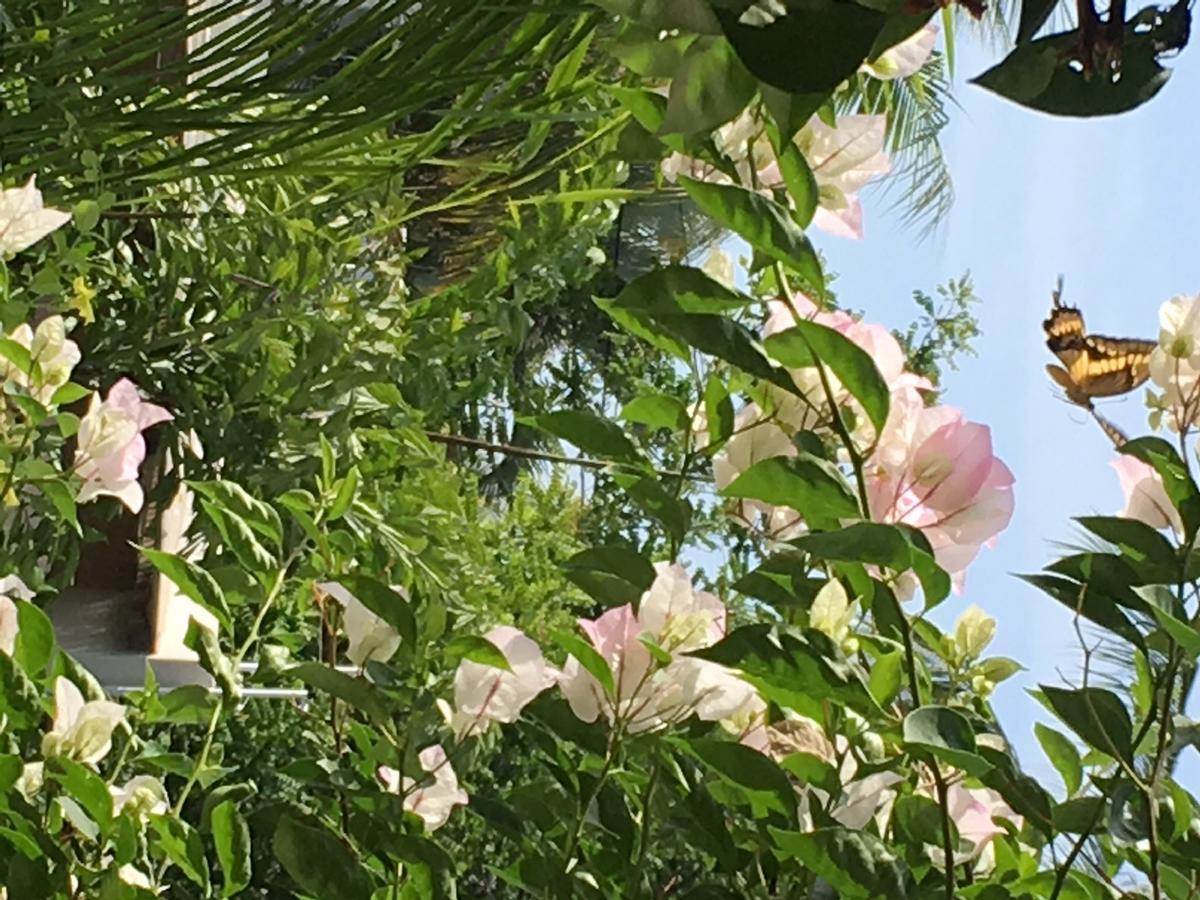 Villa Maria Bed And Breakfast ปูแอร์โตเอสกอนดิโด ภายนอก รูปภาพ
