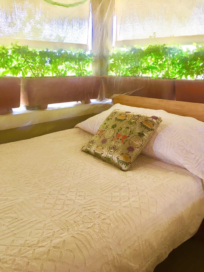 Villa Maria Bed And Breakfast ปูแอร์โตเอสกอนดิโด ภายนอก รูปภาพ